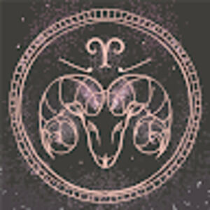 Meet your Posher, Sondra